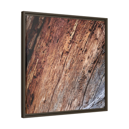 Time's Mark - Unique Stretched Canvas Wall Art - Art By Earth