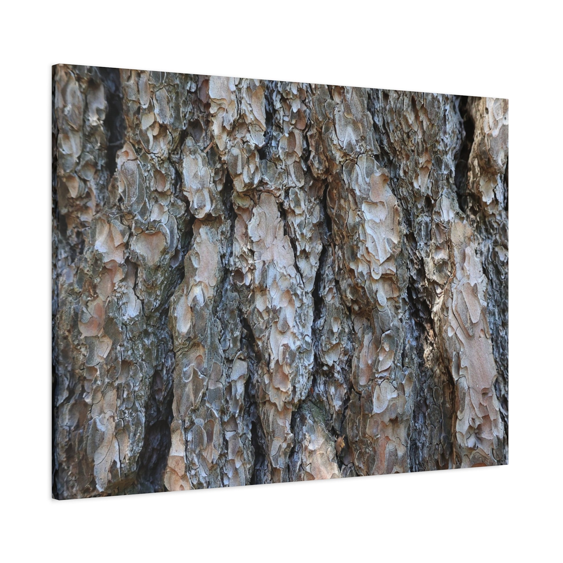 Elemental Tapestry - Unique Frameless Canvas Wall Art - Art By Earth