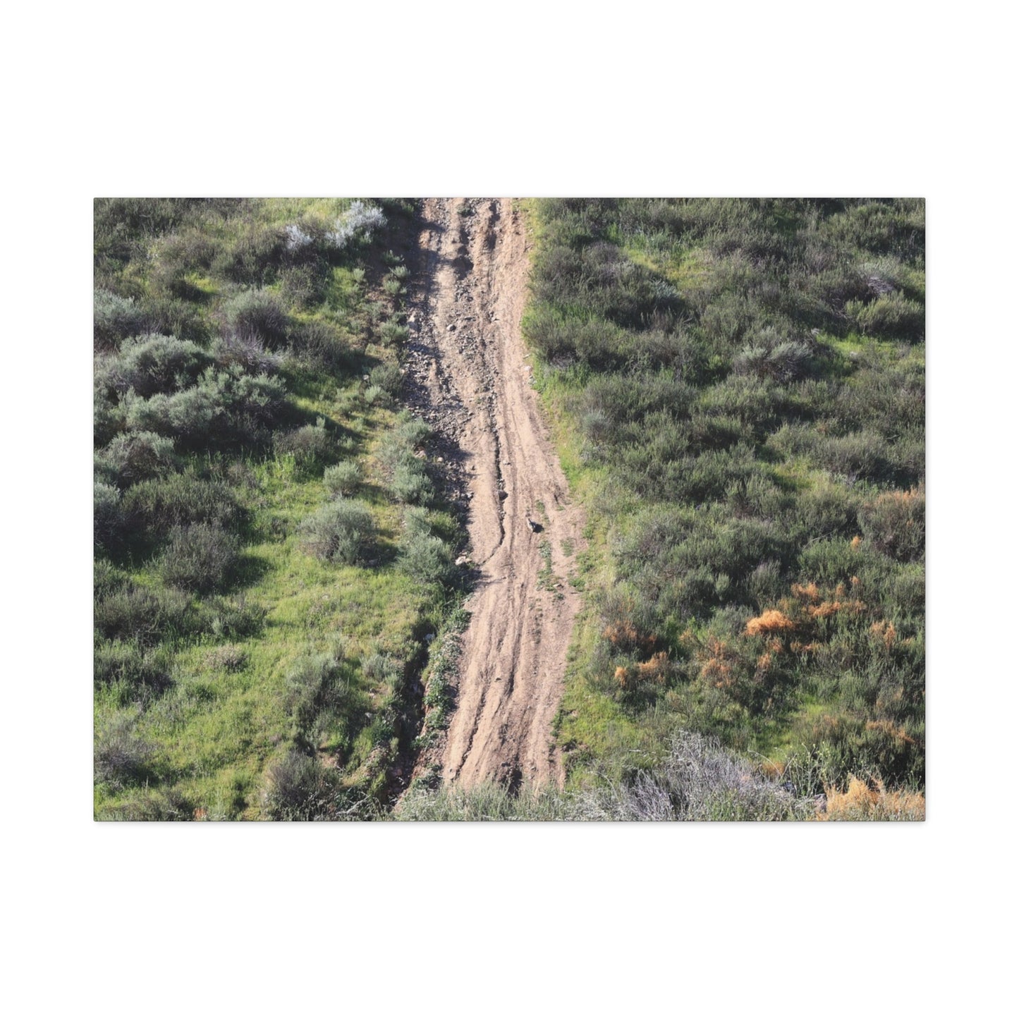 Straight Road Cutting Through Wilderness - Unique Frameless Canvas Wall Art - Art By Earth