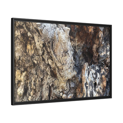 Ancient Tree Texture - Unique Stretched Canvas Wall Art - Art By Earth