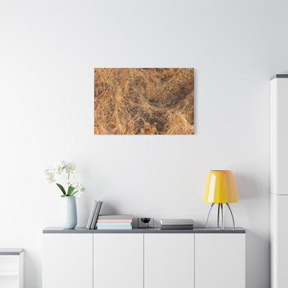 Dried Grasses - Unique Frameless Canvas Wall Art - Art By Earth