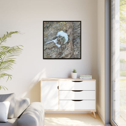 Lichen's Embrace - Unique Stretched Canvas Wall Art