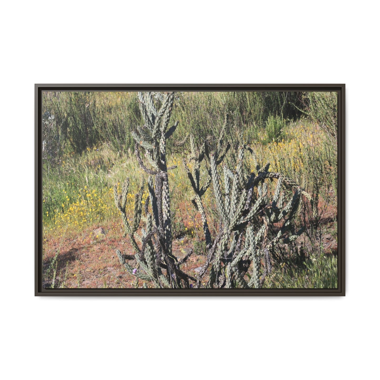 Wildflower Meadow - Unique Stretched Canvas Wall Art - Art By Earth