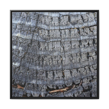 Charred Memories - Unique Stretched Canvas Wall Art - Art By Earth