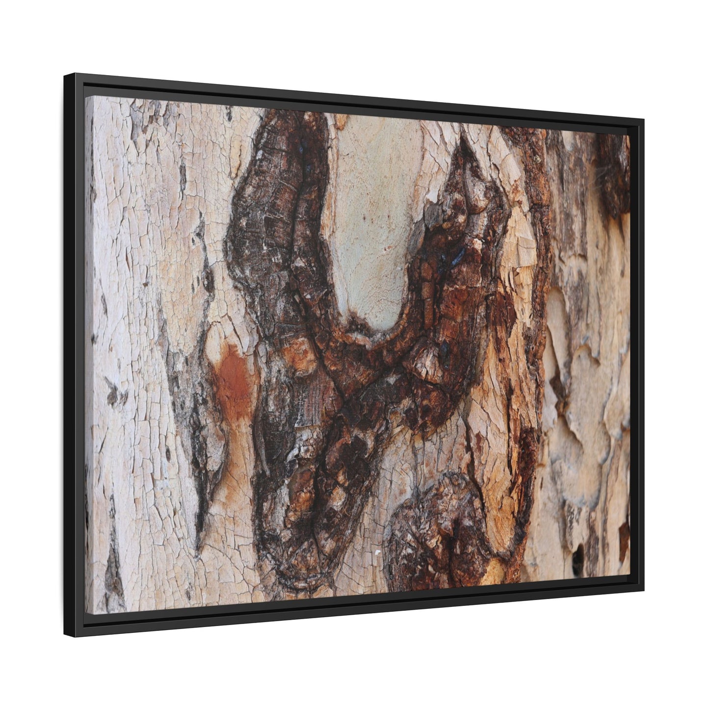 Texture of Time - Unique Stretched Canvas Wall Art - Art By Earth