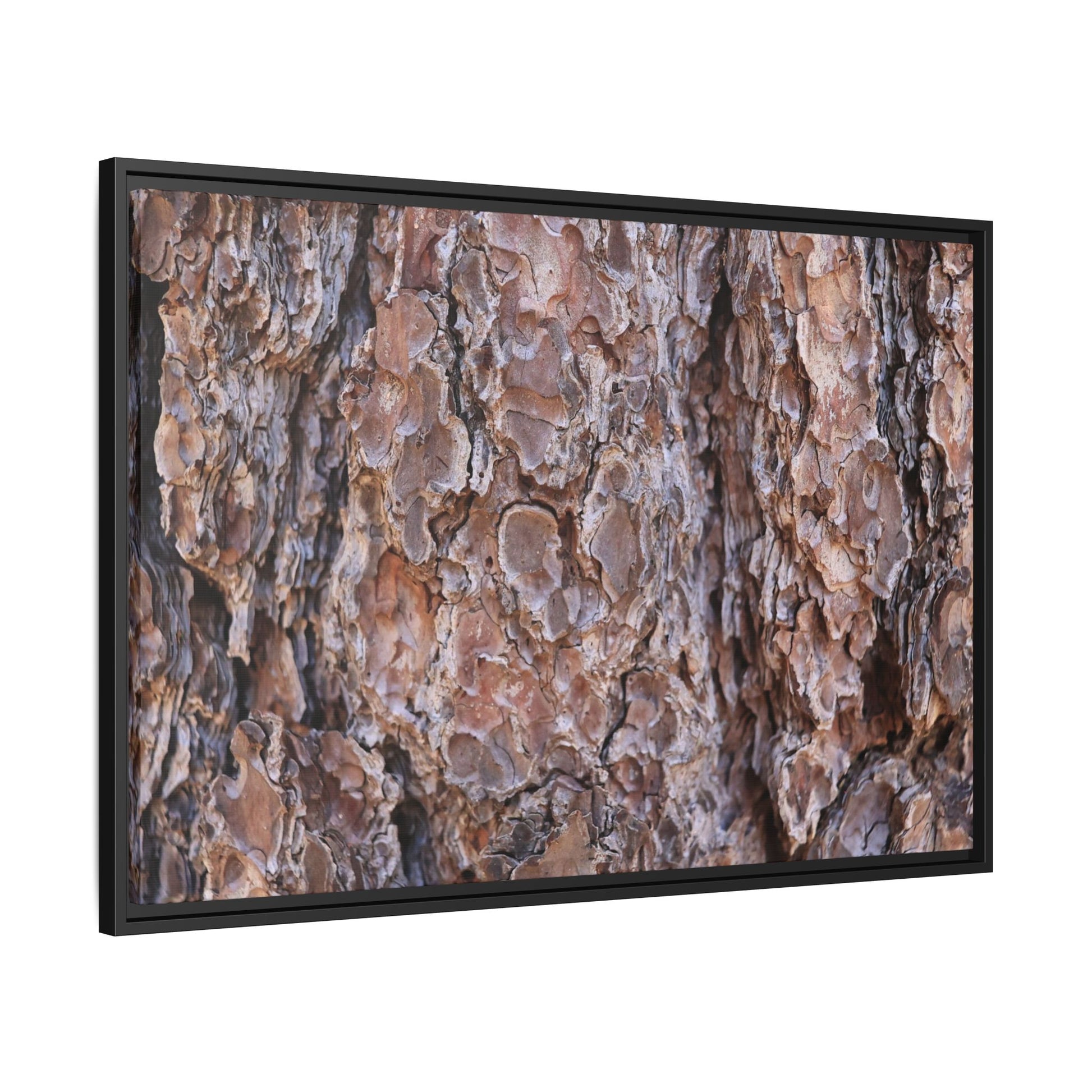 Woody Layers - Unique Stretched Canvas Wall Art - Art By Earth