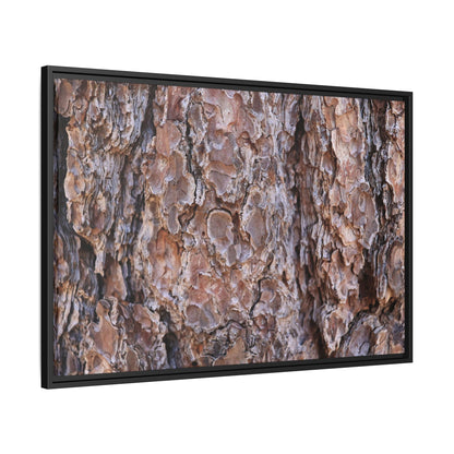Woody Layers - Unique Stretched Canvas Wall Art - Art By Earth