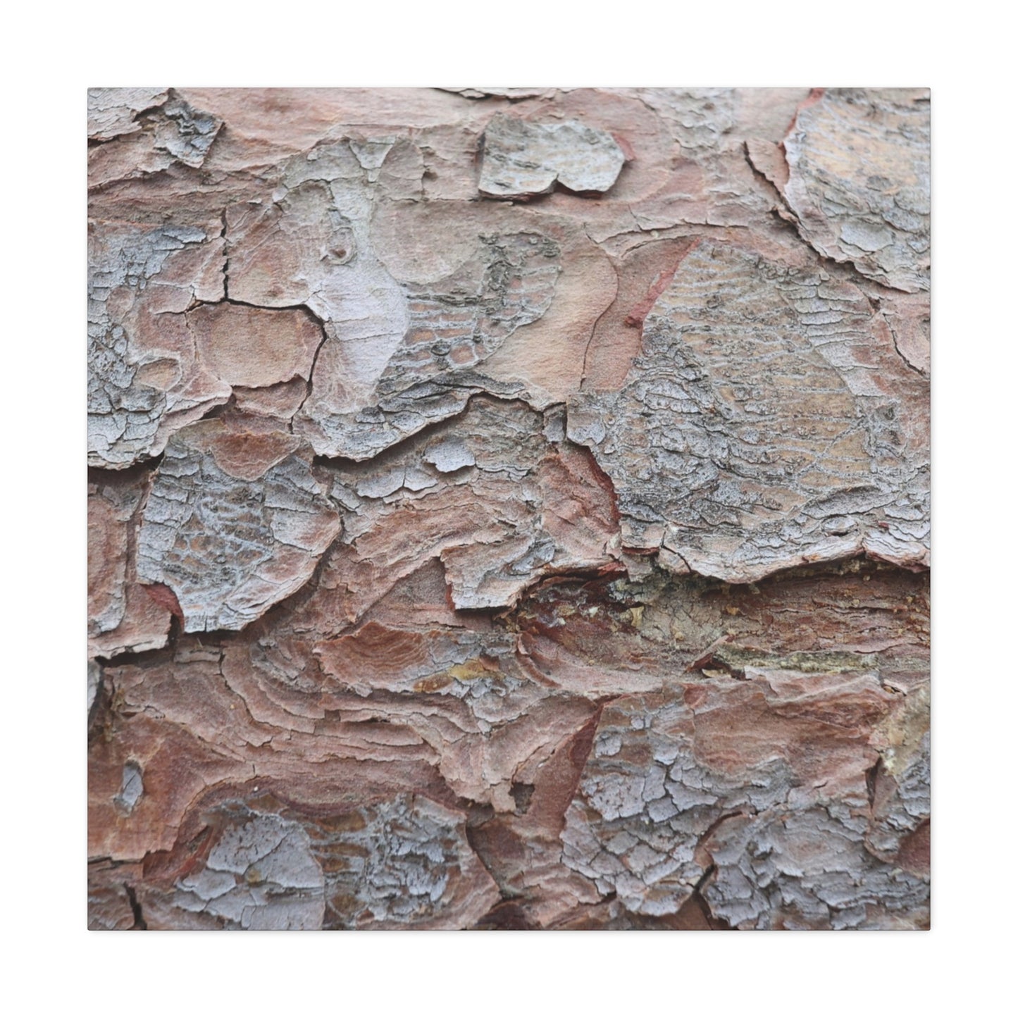 Textural Landscape - Unique Frameless Canvas Wall Art - Art By Earth