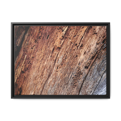Time's Mark - Unique Stretched Canvas Wall Art - Art By Earth