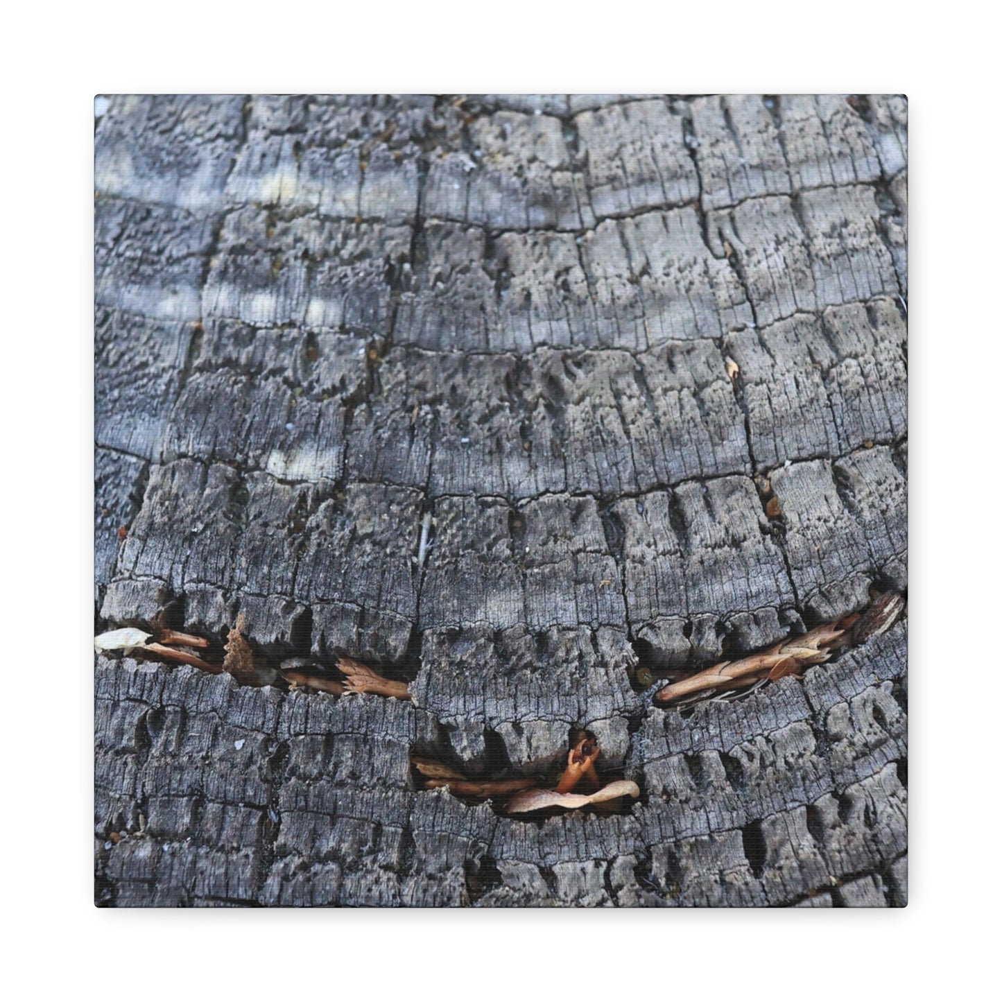 Time's Fractal Whispers - Unique Frameless Canvas Wall Art - Art By Earth