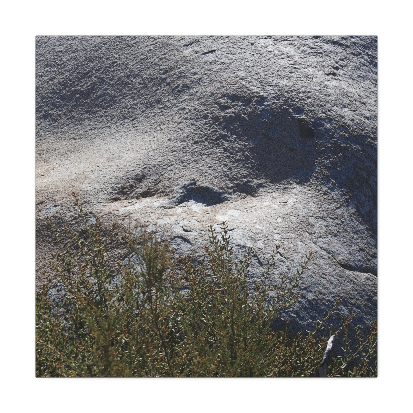 Stone Face in Nature - Unique Frameless Canvas Wall Art