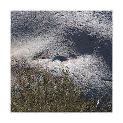 Stone Face in Nature - Unique Frameless Canvas Wall Art