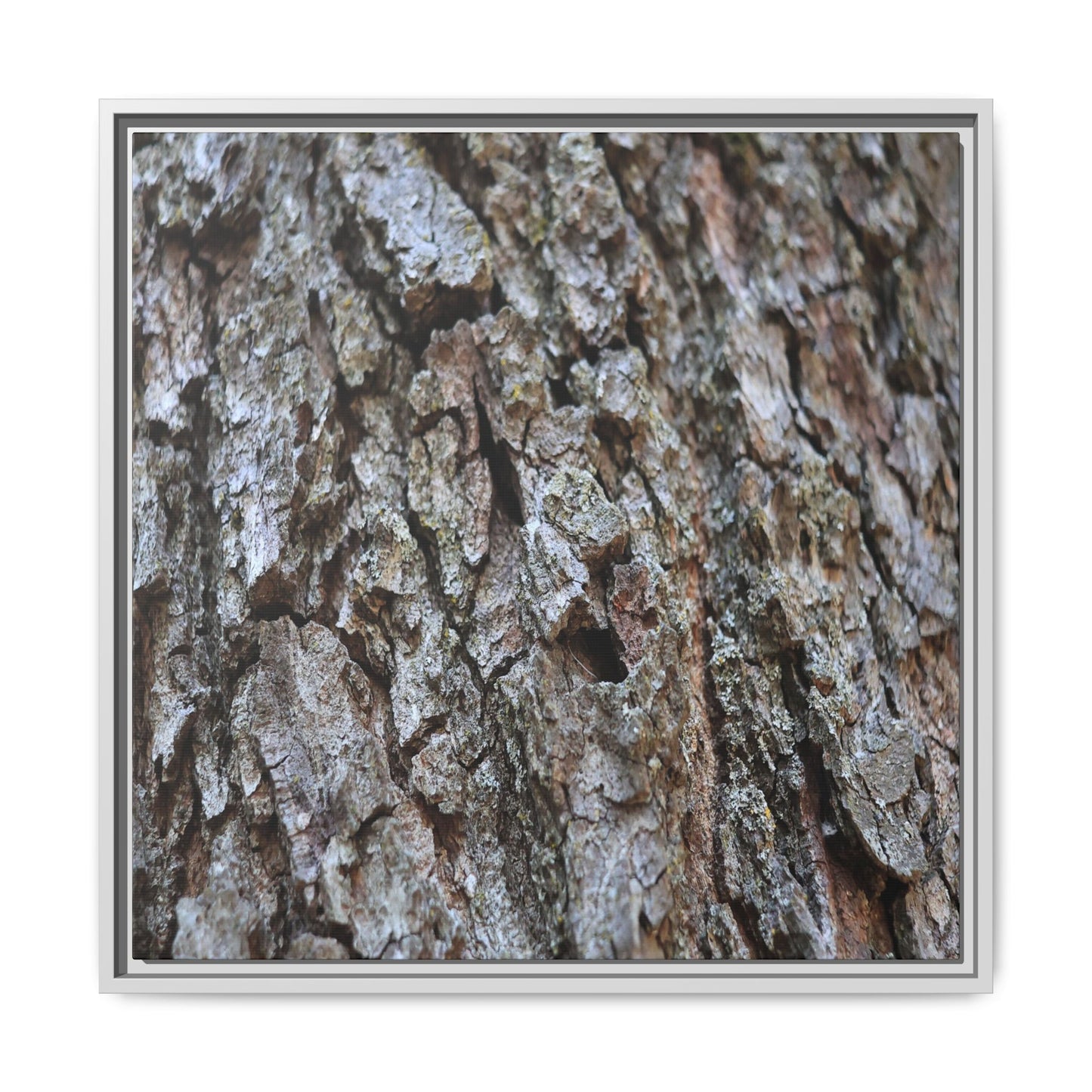 Woodland Canvas - Unique Stretched Canvas Wall Art - Art By Earth