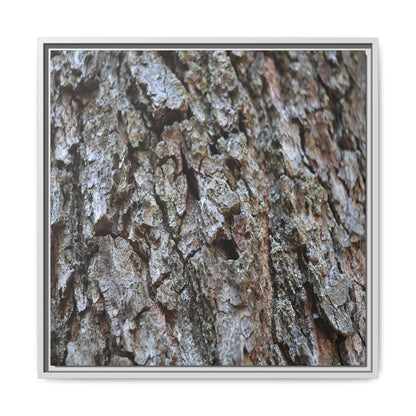 Woodland Canvas - Unique Stretched Canvas Wall Art - Art By Earth