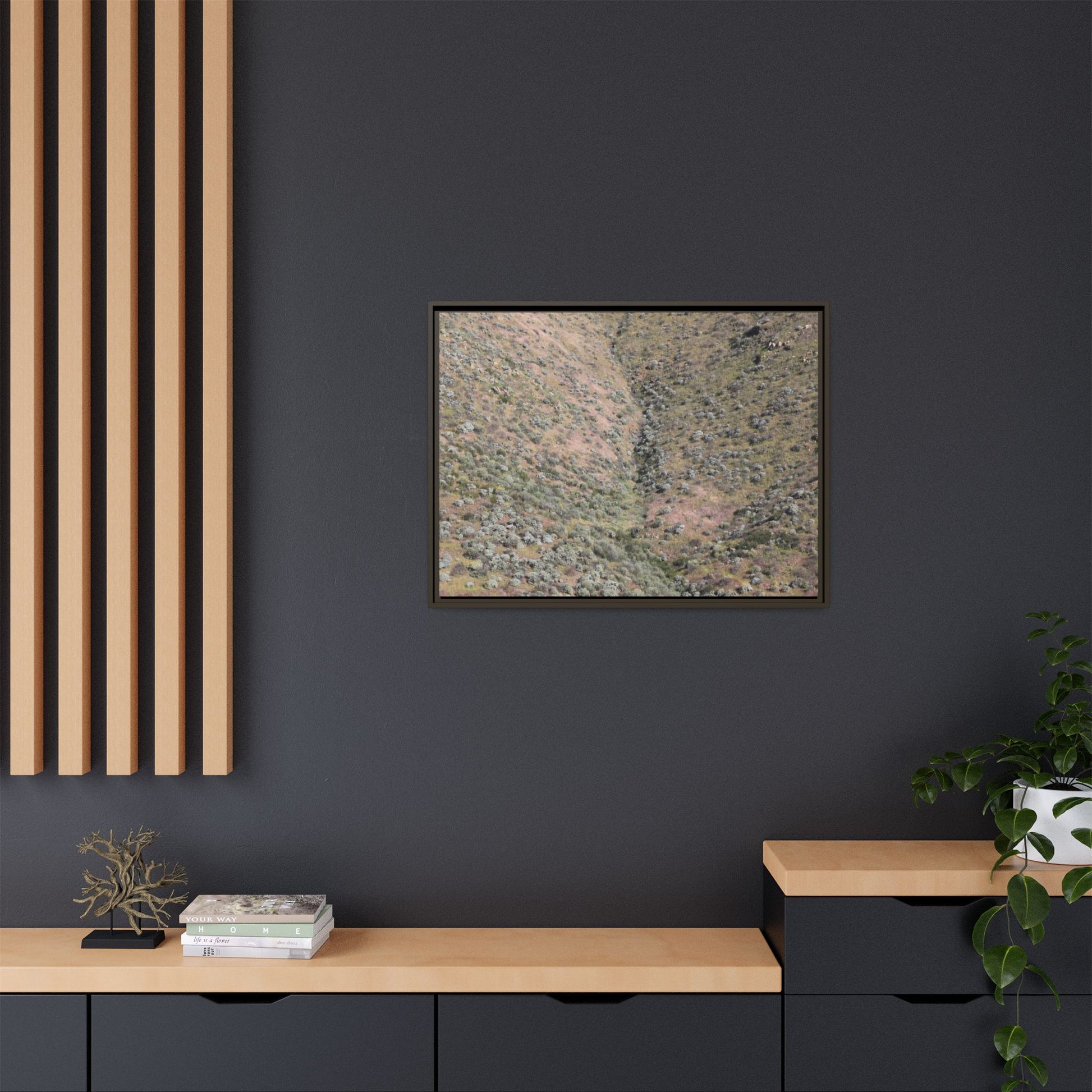 Mountain Slope with Desert Vegetation - Unique Stretched Canvas Wall Art - Art By Earth