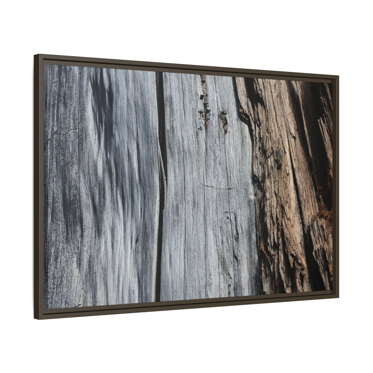 Wood's Lament - Unique Stretched Canvas Wall Art - Art By Earth