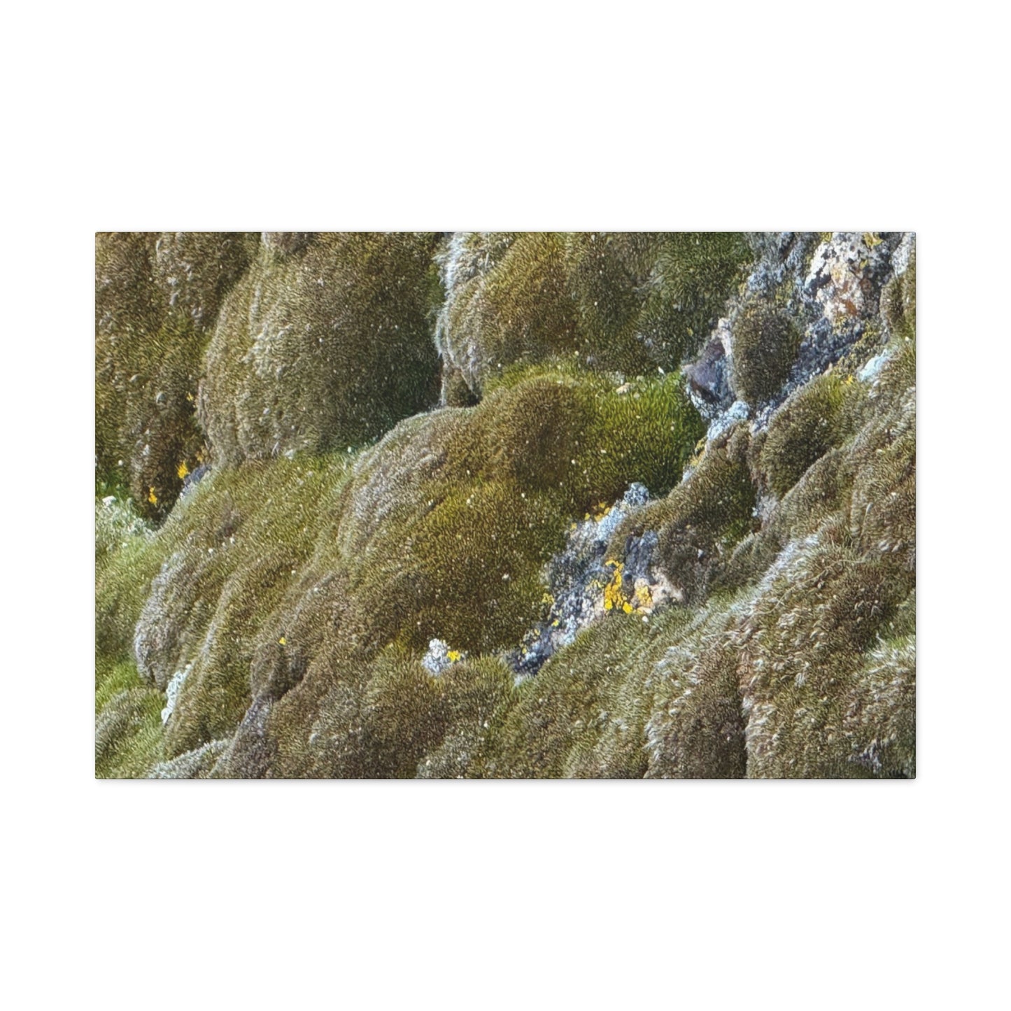 Verdant Stone Symphony - Unique Frameless Canvas Wall Art