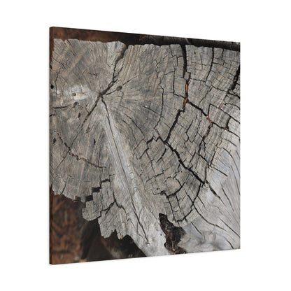 Cracked Memories - Unique Frameless Canvas Wall Art - Art By Earth