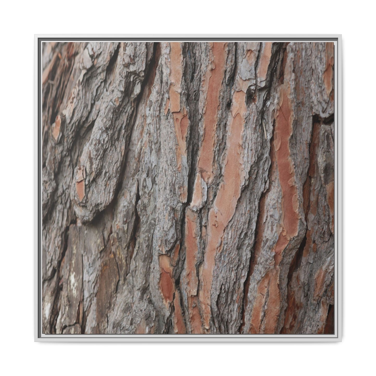 Woodland Layers - Unique Stretched Canvas Wall Art - Art By Earth