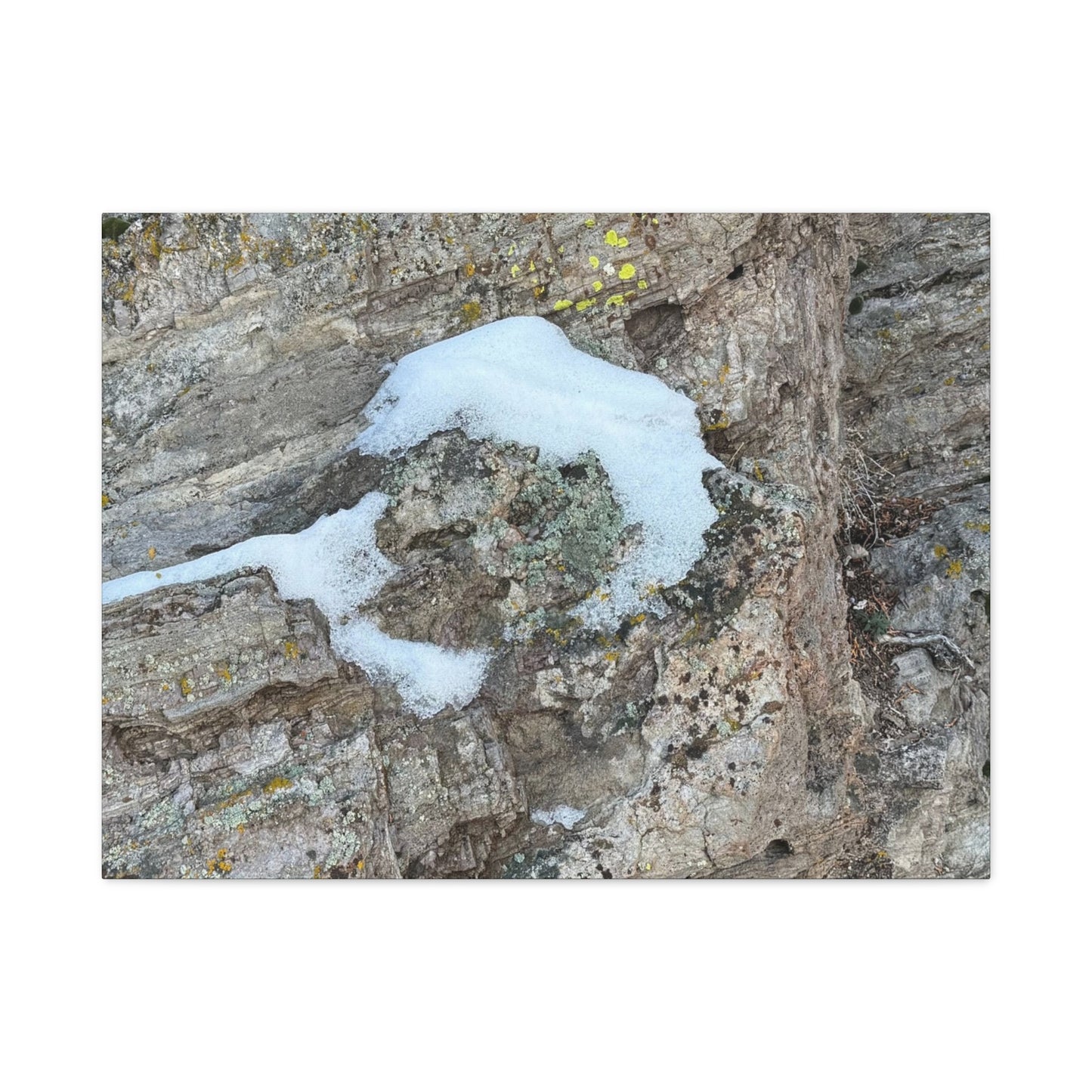 Snow on Stone - Unique Frameless Canvas Wall Art