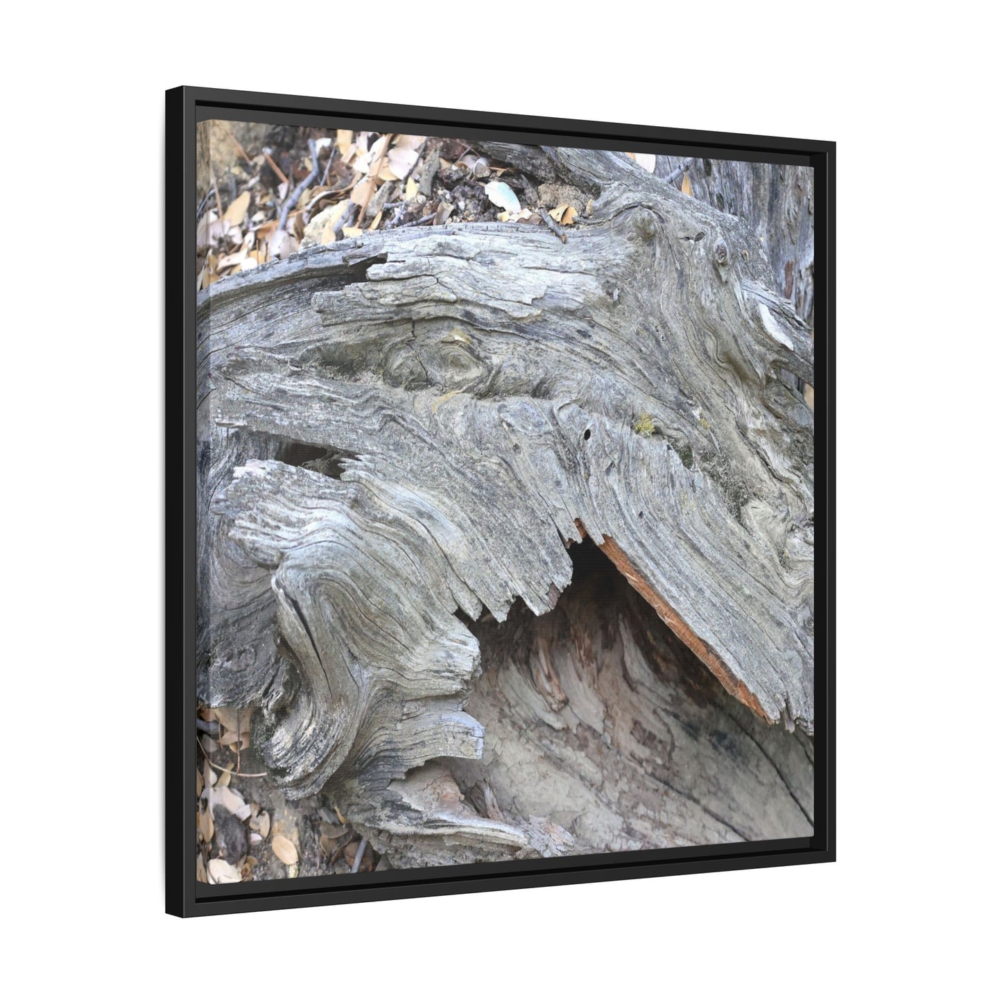 Driftwood Dreams - Unique Stretched Canvas Wall Art - Art By Earth