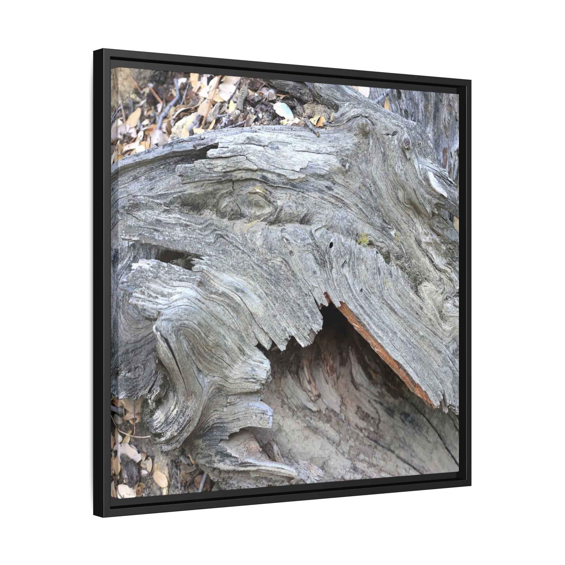 Driftwood Dreams - Unique Stretched Canvas Wall Art - Art By Earth