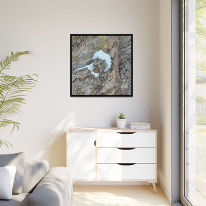 Lichen's Embrace - Unique Stretched Canvas Wall Art