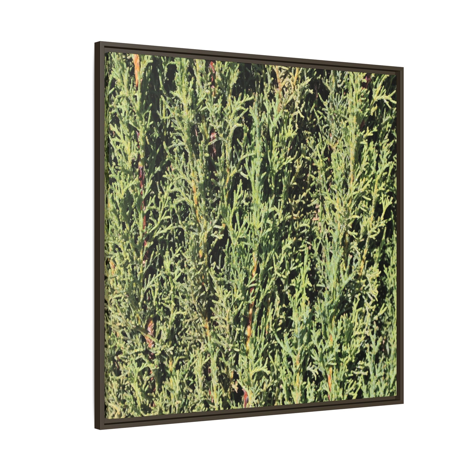 Emerald Labyrinth - Unique Stretched Canvas Wall Art - Art By Earth