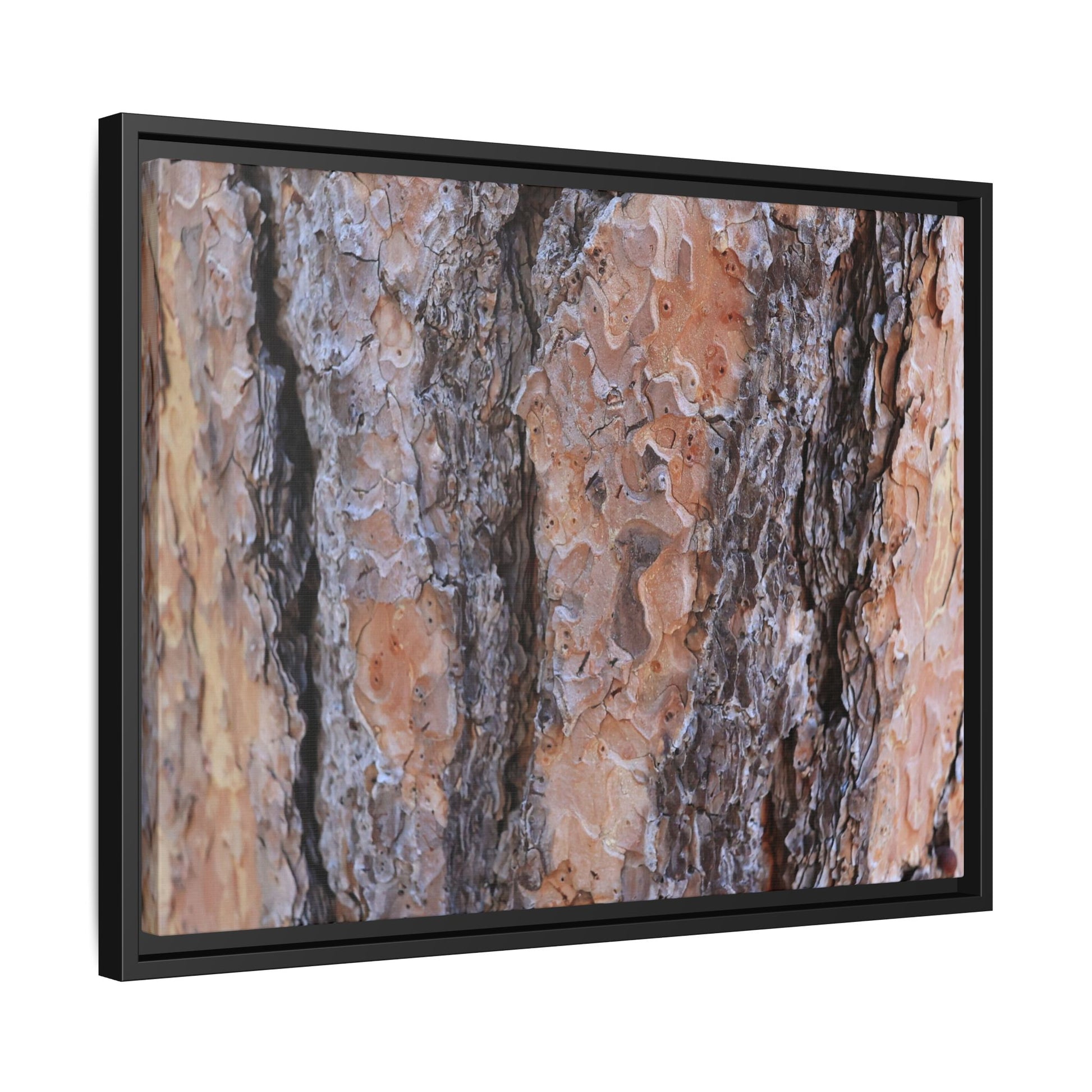 Earthy Embrace - Unique Stretched Canvas Wall Art - Art By Earth