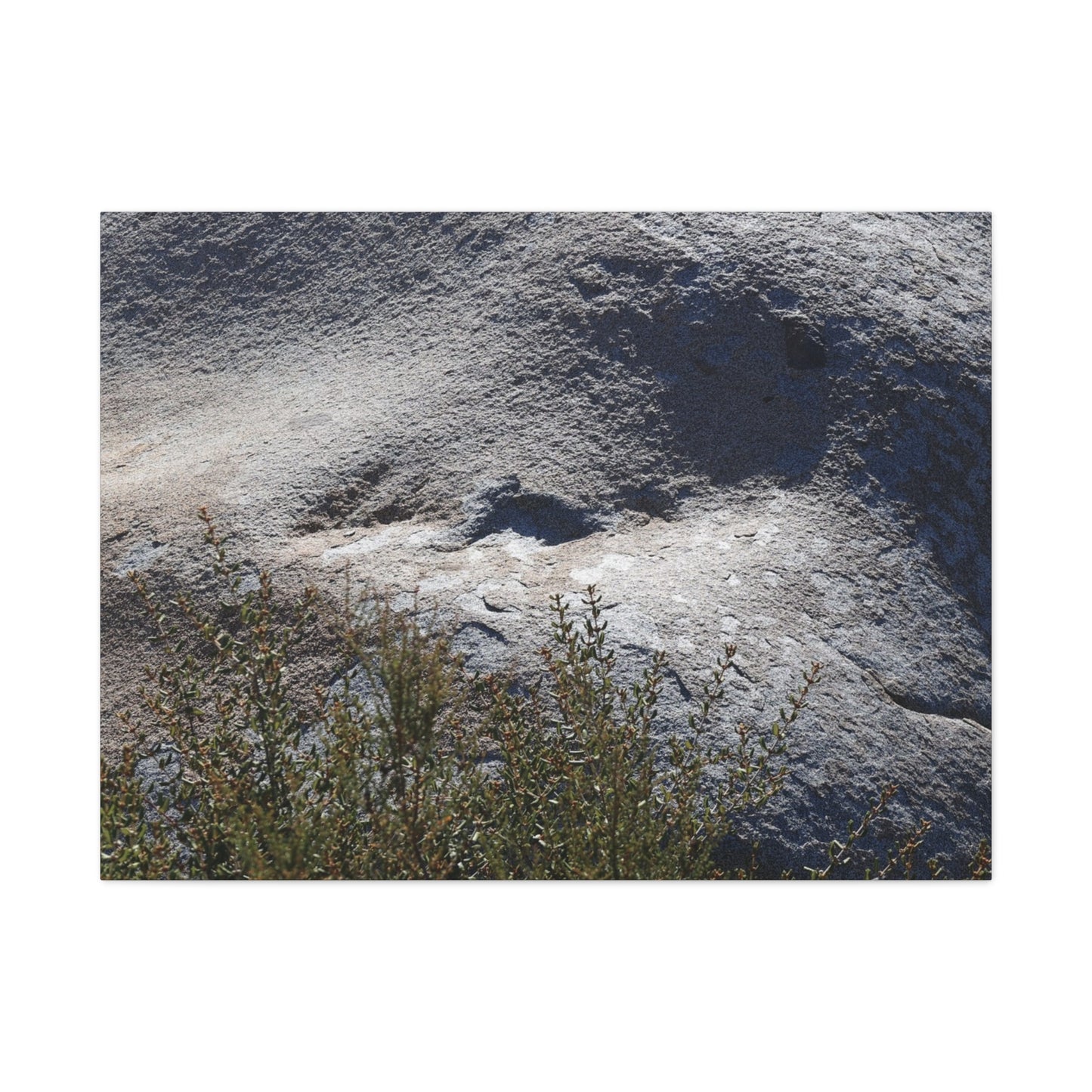 Stone Face in Nature - Unique Frameless Canvas Wall Art