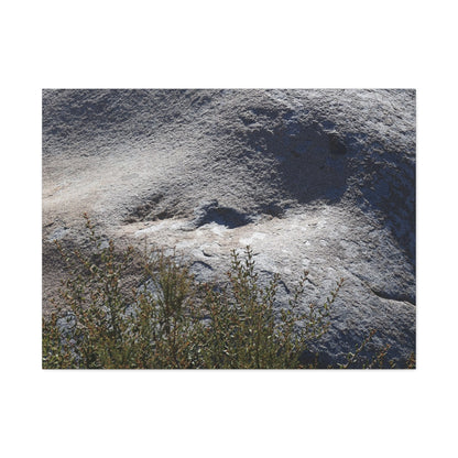 Stone Face in Nature - Unique Frameless Canvas Wall Art