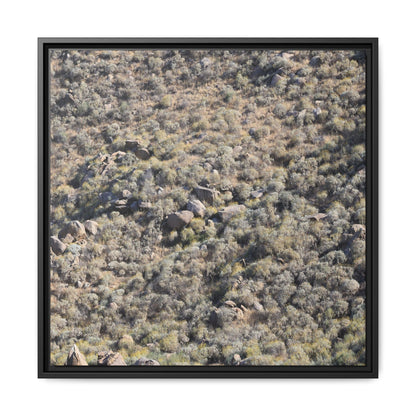 Arid Terrain Study - Unique Stretched Canvas Wall Art - Art By Earth