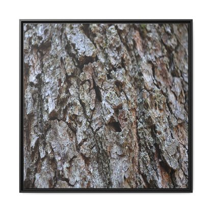 Woodland Canvas - Unique Stretched Canvas Wall Art - Art By Earth