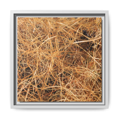 Dried Grass - Unique Stretched Canvas Wall Art - Art By Earth