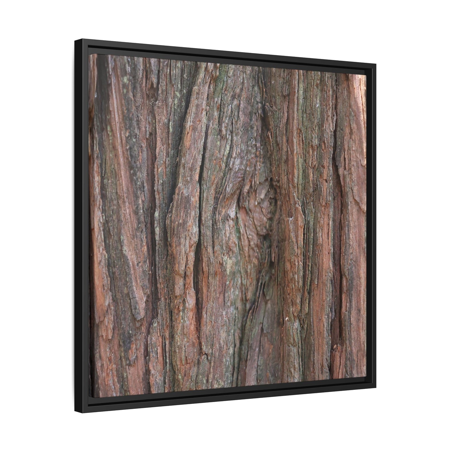 Rugged Textures - Unique Stretched Canvas Wall Art - Art By Earth