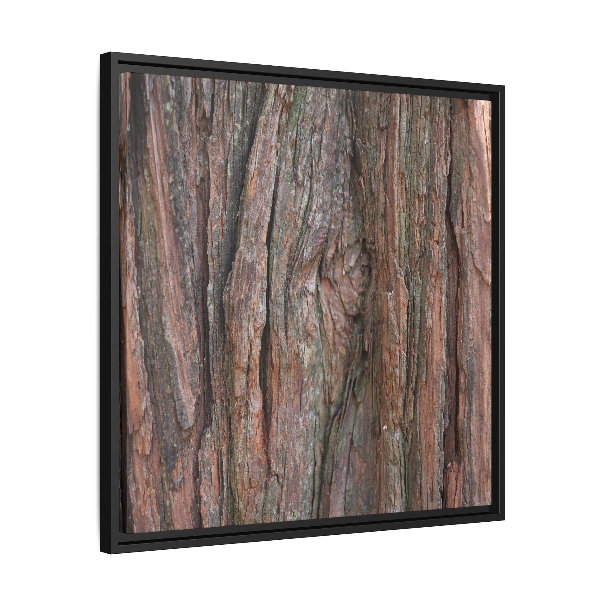 Rugged Textures - Unique Stretched Canvas Wall Art - Art By Earth