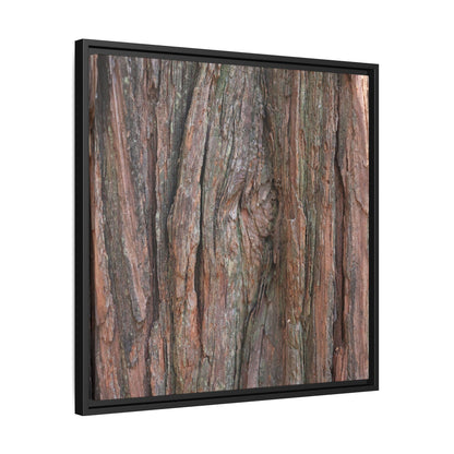Rugged Textures - Unique Stretched Canvas Wall Art - Art By Earth