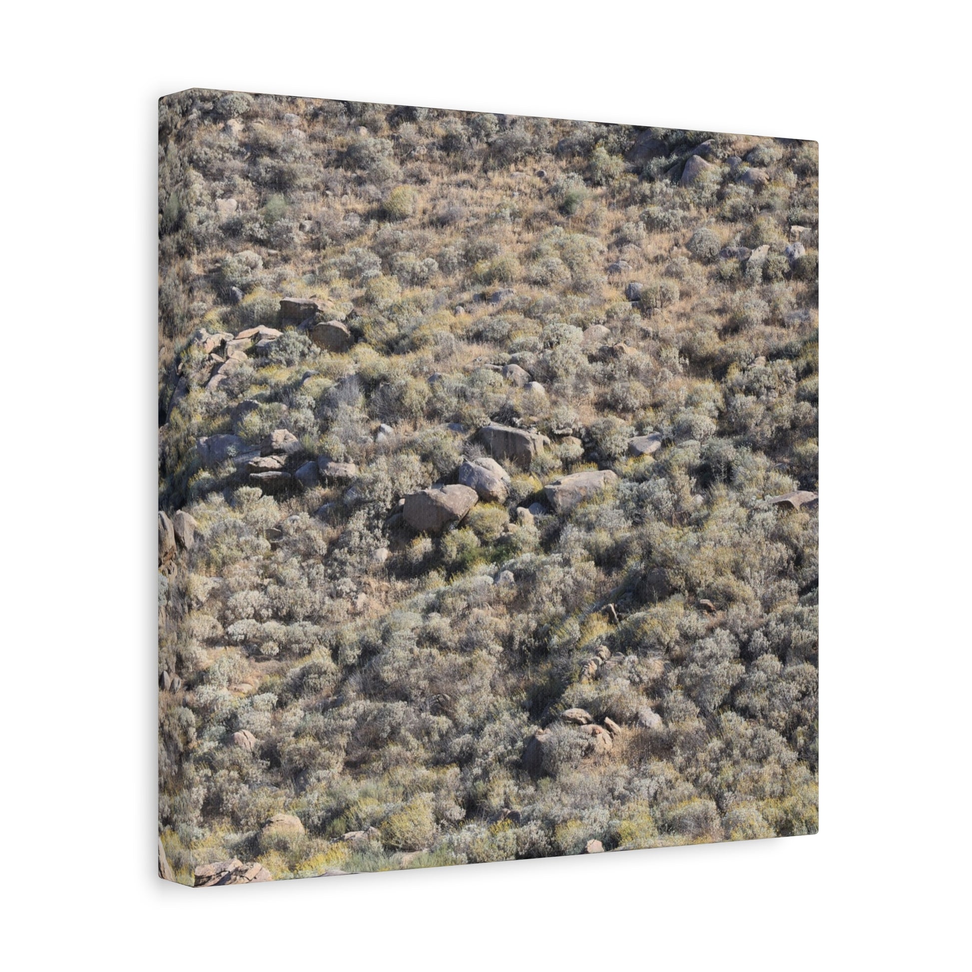 Desert Landscape with Scattered Rocks and Sage - Unique Frameless Canvas Wall Art - Art By Earth