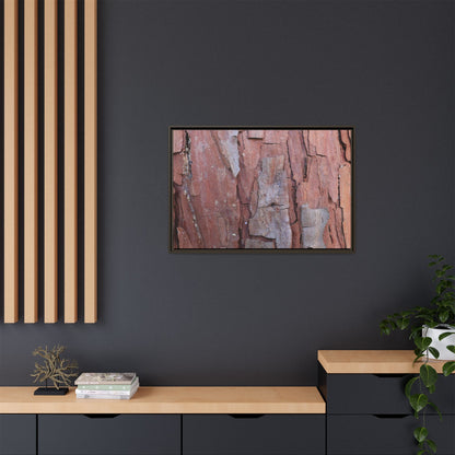 Peeling Bark - Unique Stretched Canvas Wall Art - Art By Earth
