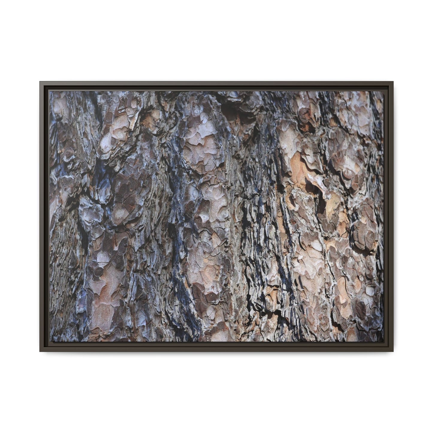 Weathered Patterns - Unique Stretched Canvas Wall Art - Art By Earth