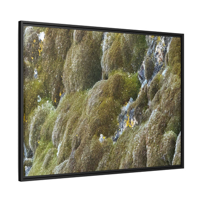 Moss Symphony - Unique Stretched Canvas Wall Art