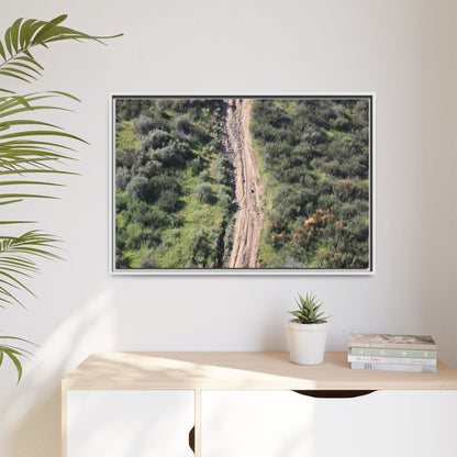 Desert Path Through Sage - Unique Stretched Canvas Wall Art - Art By Earth
