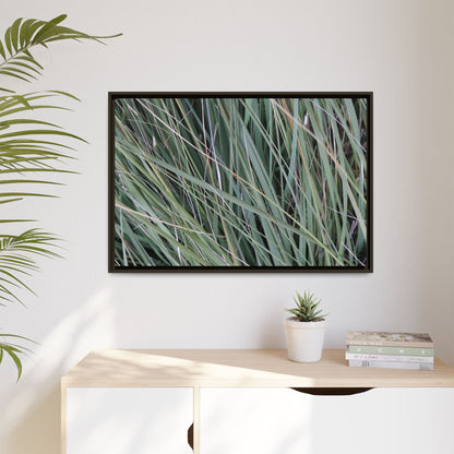 Grassland Symphony - Unique Stretched Canvas Wall Art - Art By Earth