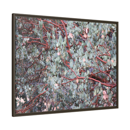 Whispers of Sage - Unique Stretched Canvas Wall Art - Art By Earth