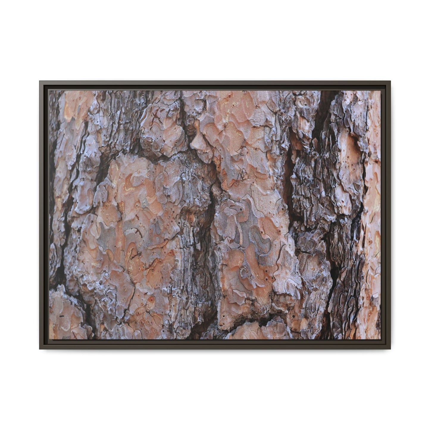 Tree Skin Symphony - Unique Stretched Canvas Wall Art - Art By Earth