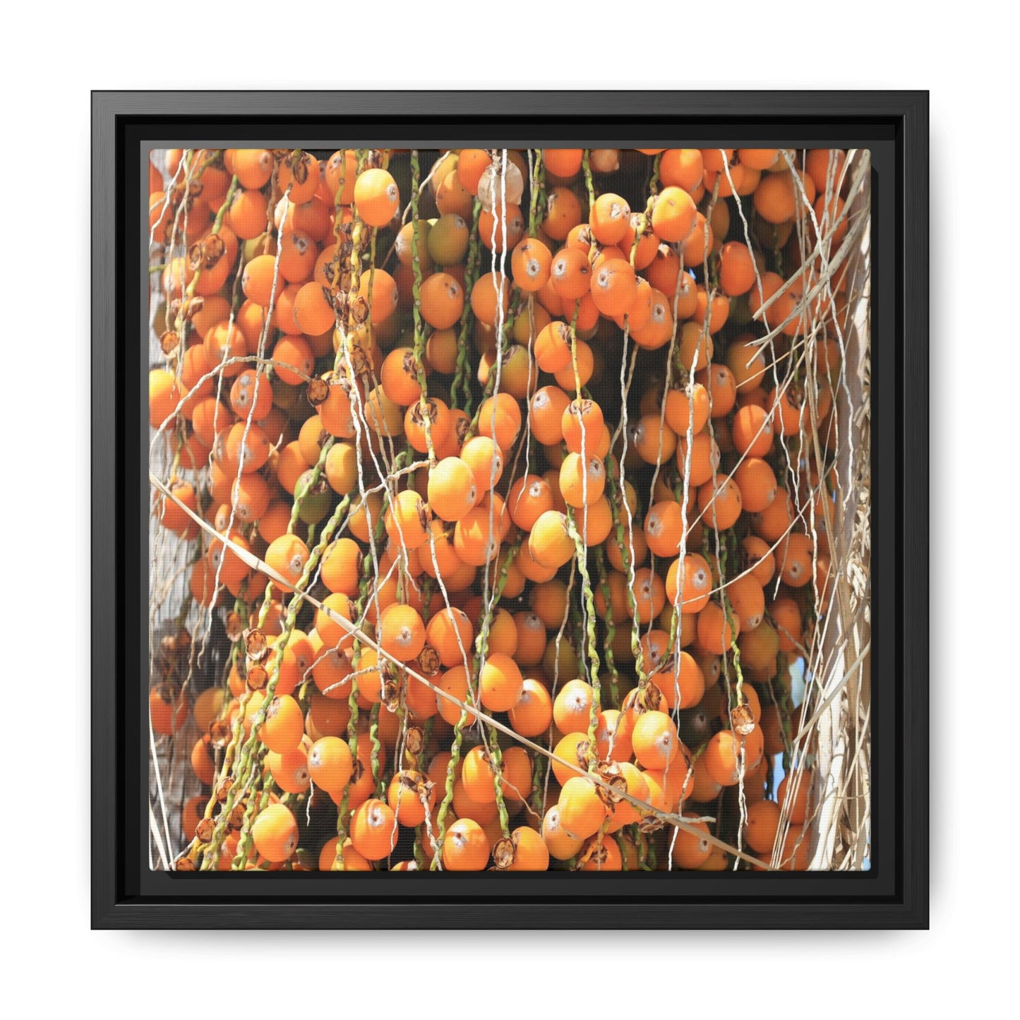 Clusters of Sunlight - Unique Canvas Wall Art - Art By Earth