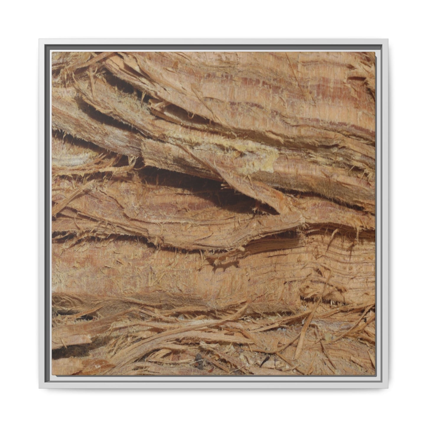 Splintered Bark - Unique Stretched Canvas Wall Art - Art By Earth