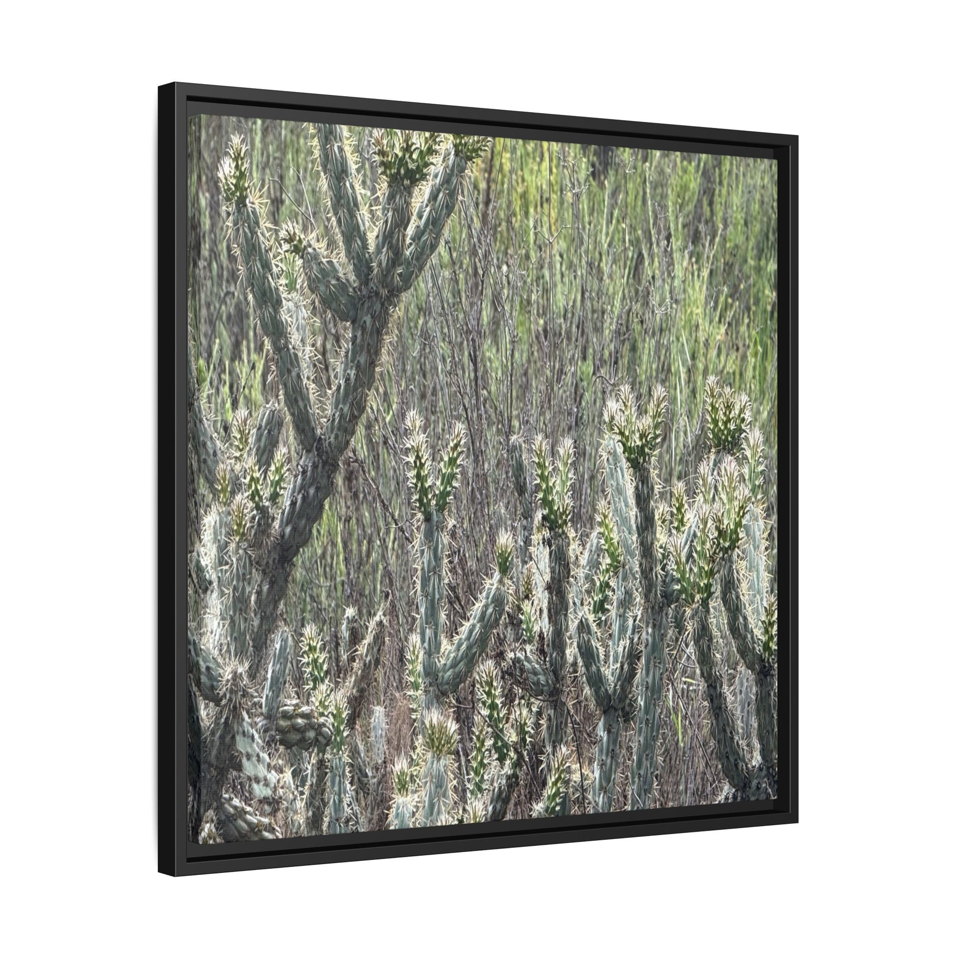 Prickly Paradise - Unique Stretched Canvas Wall Art - Art By Earth