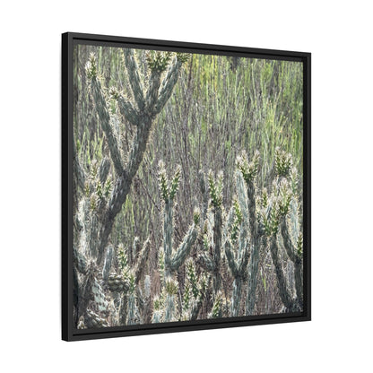 Prickly Paradise - Unique Stretched Canvas Wall Art - Art By Earth