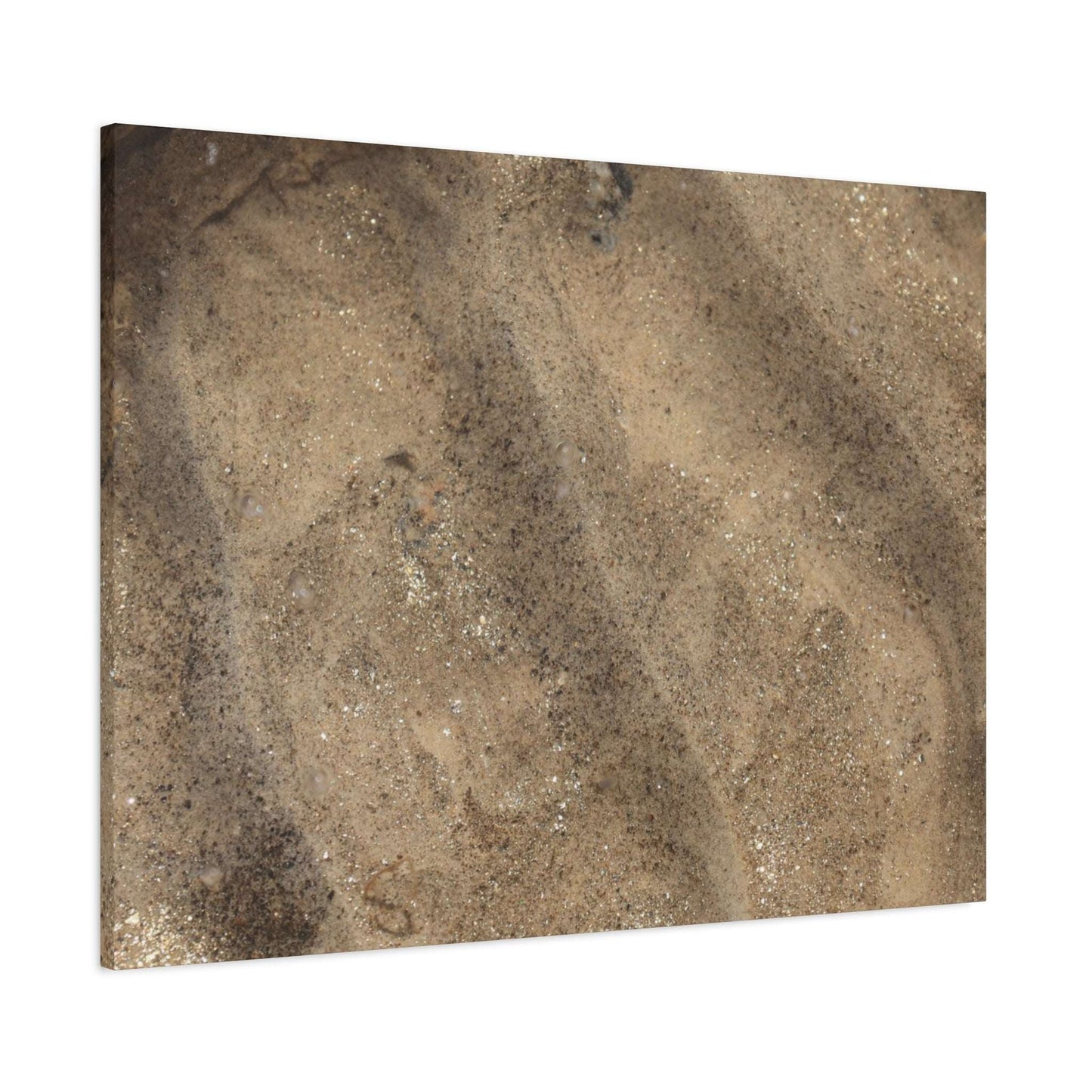 Shallow Waters - Unique Frameless Canvas Wall Art - Art By Earth